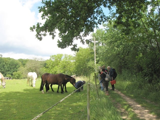 2007 05 Myco avec la SMF 13